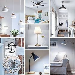 Maylaywood A19 LED Light Bulbs, 60 Watt Equivalent