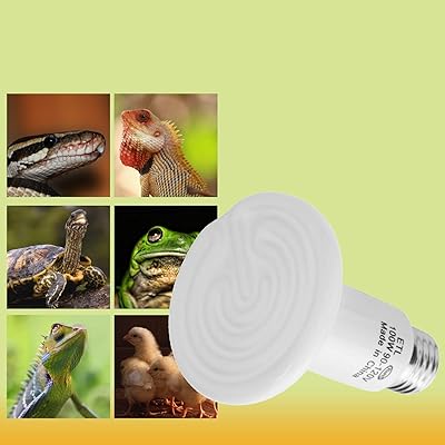 Buy Coolpet Reptile Heat Emitter 100w 2pcs Infrared Ceramic Heat Lamp Black Emitter Bulb For Pet Coop Heater Chicken Lizard Turtle Brooder Aquarium Snake No Light Online In Indonesia B08x4sxjx3