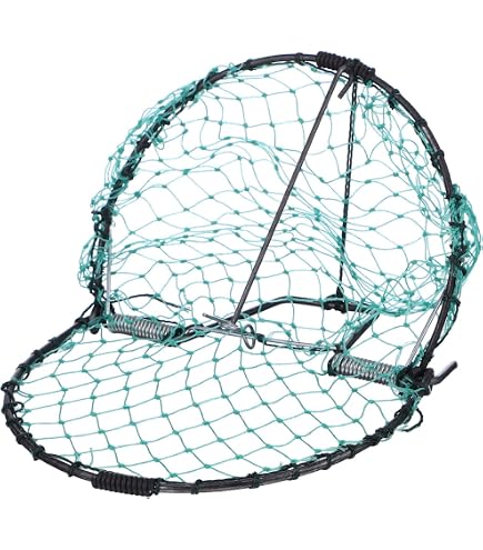 Trampa Para Pájaros Viva De 30 Cm - Jaula Humana Para Codornices Y Aves Pequeñas, Con Marco De Acero Y Malla De Polietileno