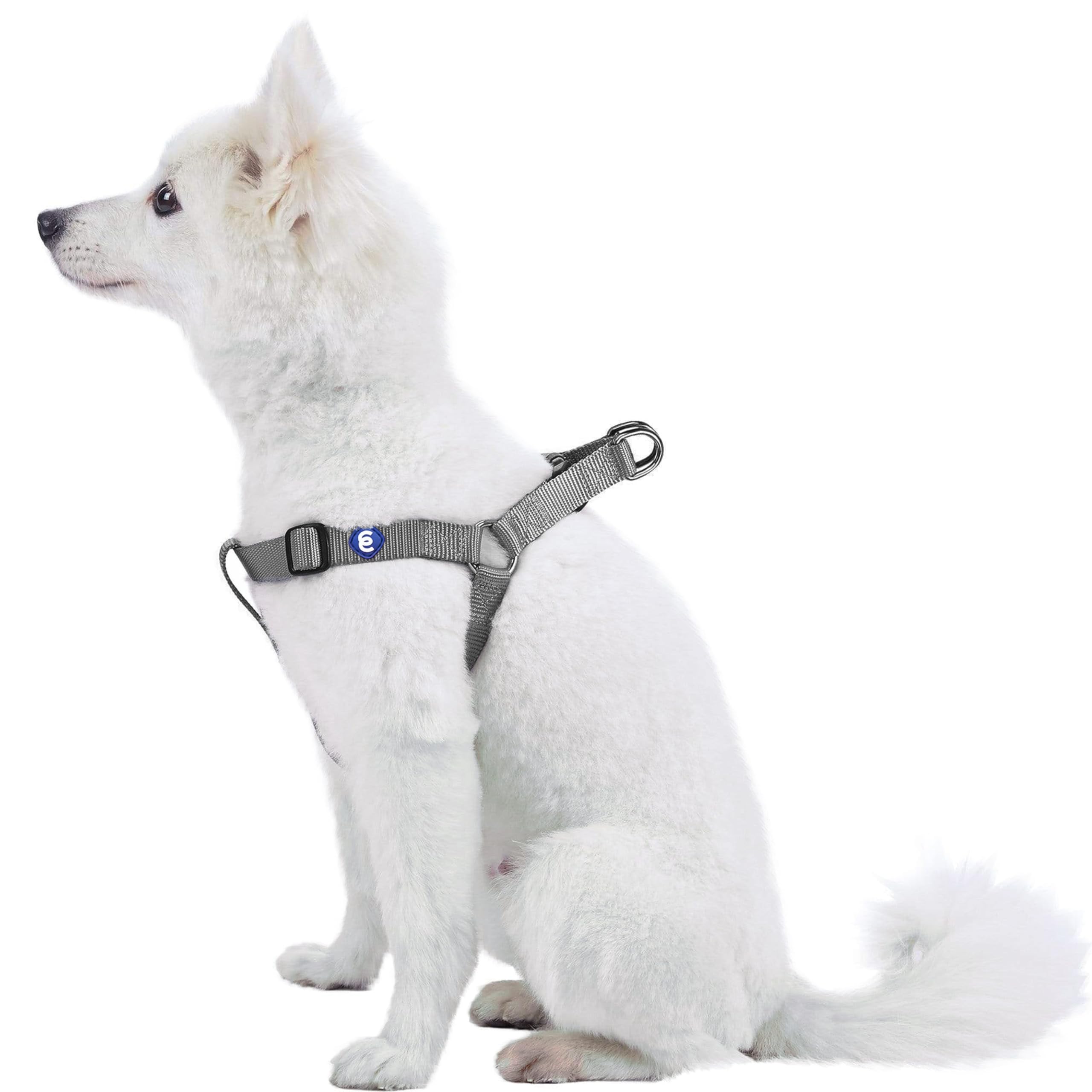 Blueberry Pet Harness. Chest circumference: 42-54 cm, Classic, Solid, Flint Grey, Adjustable Nylon, Dog Harness, Matching Collar and Lead Sold Separately.
