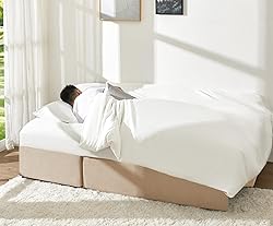 PaPaJet Sofa Bed, Sofa Sleeper with Storage