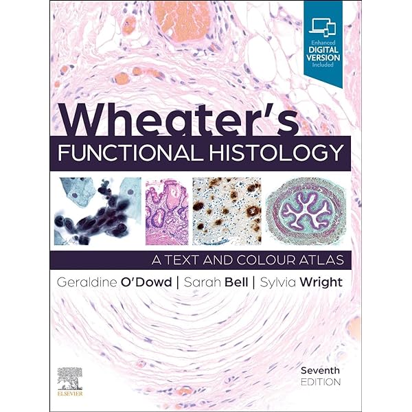 Histology: A Text and Atlas 7Edition(英文) Histology: A Text and Atlas 7Edition(英文) Histology: A Text and