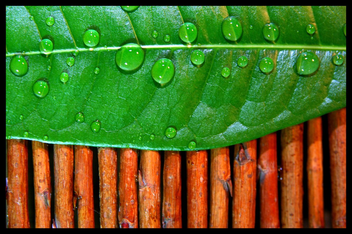 Digital Republic.Com 40697 Door Mat Polyamide PVC Plastic Phthalate-Free