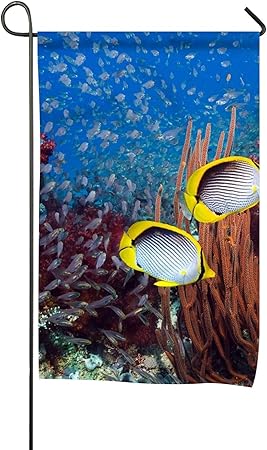 Amazon Com Dimanzo Animal Butterflyfish Fish Garden Flag 12 X 18