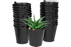 Biugaaufai 22 Pack 4 Inch Black Mini Metal Bucket, Elegant Galvanized Buckets with Handles, Tin Buckets, Small Iron Bucket, Mini Metal Pail for Party Favors, Crafts, Garden & Beach