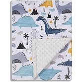 Donsonny Baby Blanket for Boys Girls Soft Minky with Double Layer Dotted Backing, Color Dinosaurs Printed 30 x 40 Inch Receiving Blanket
