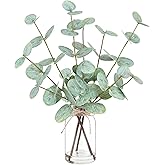 Artificial Eucalyptus Stems in Glass Vase with Faux Water,Artificial Plants Eucalyptus Leaves for Shelf Desk Bathroom Farmhouse Room Coffee Table Home Decor, Central Decoration.