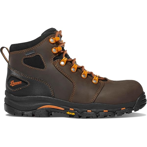 Amazon.com | Danner Women's 13883 Vicious 4