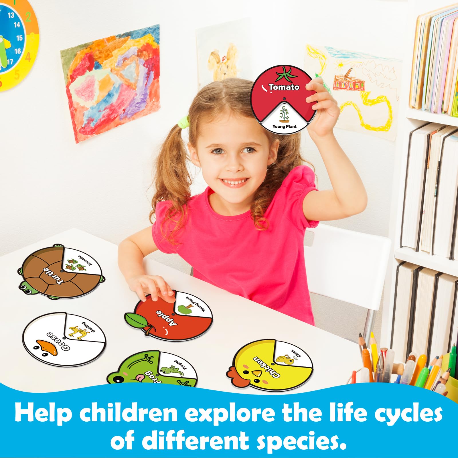 Life Cycle Toys for Kids,Animal Plant Insect Bug Ladybug Butterfly Tadpole to Frog Kit,Montessori Learning & Education Toys,Preschool Science Learning Activities for Toddlers,Board Card Games