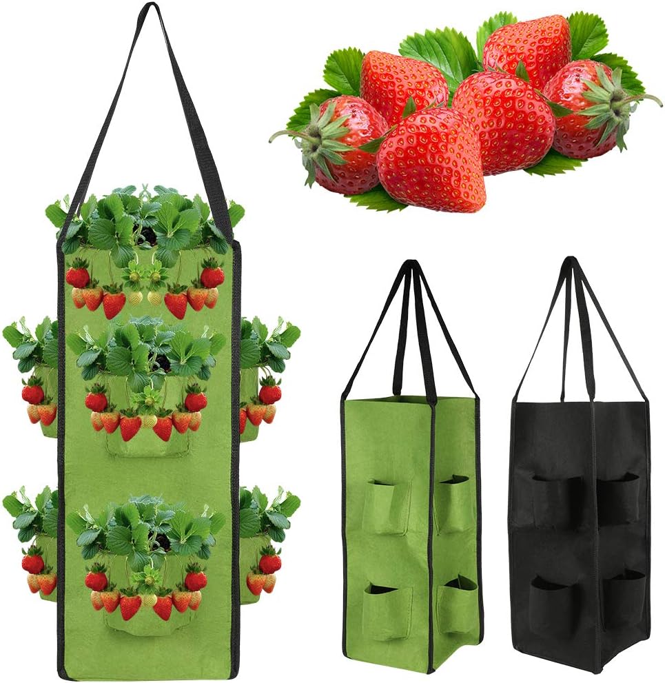 Black MeteorFlying 2PACK Strawberry Planting Bags with Handle 10 Gallon 8 Side Grow Pockets