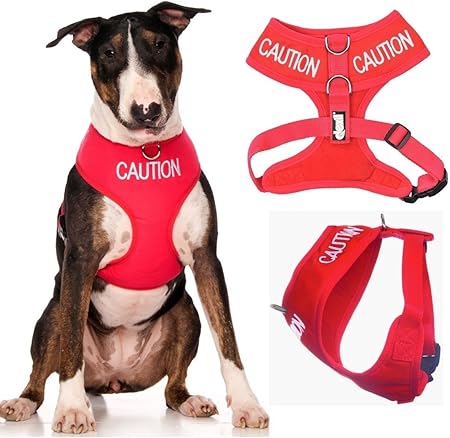 warning dog harness