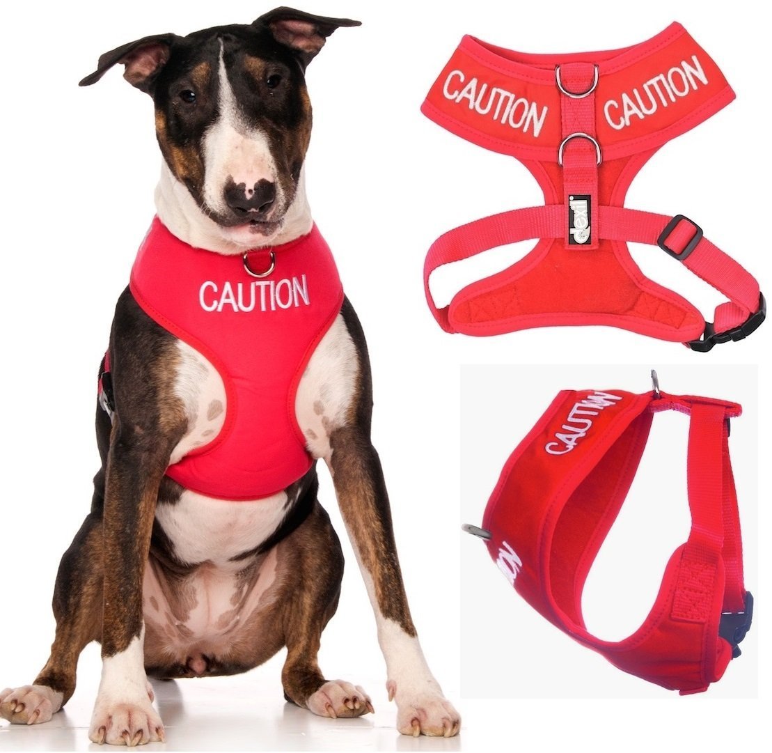 Dexil CAUTION (Do Not Approach) Red Colour Coded Non-Pull Front and Back D Ring Padded and Waterproof Vest Dog Harness PREVENTS Accidents By Warning Others Of Your Dog In Advance (L)