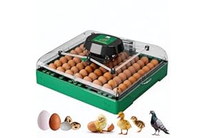 Egg Incubator for Chicken Eggs, 72 Egg Large Capacity with Automatic Egg Turner and Humidity Control, Egg Hatching Incubator 