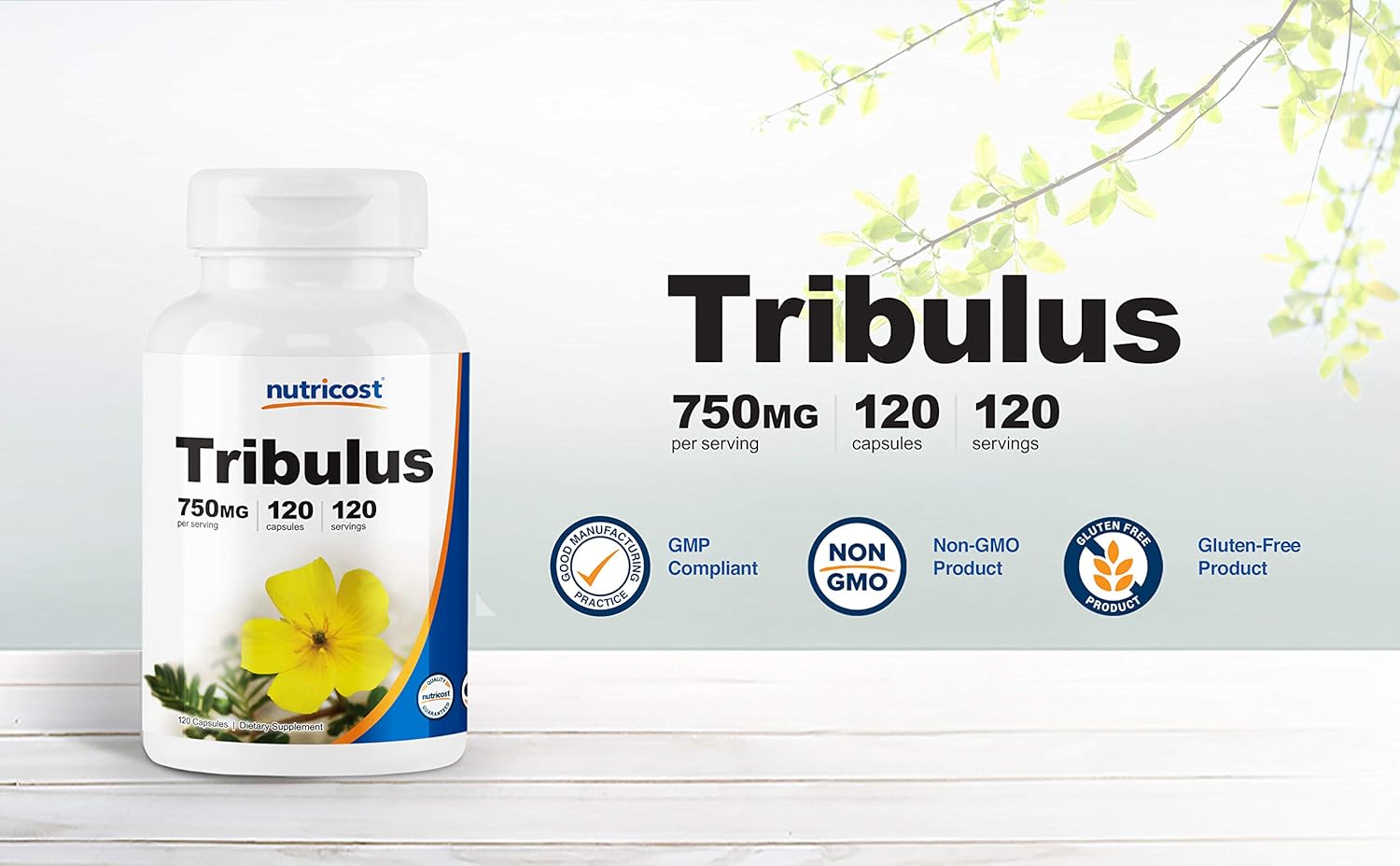 Nutricost Tribulus Terrestris Extract 750mg, 120 Capsules: Health & Personal Care