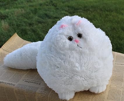 fluffy cat price