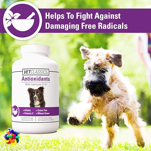 VET CLASSICS ANTIOXIDANTS WITH COENZYME Q-10 FOR DOGS, WITH ALFALFA, GREEN TEA, VITAMIN C, & WHEAT GRASS, 120 CHEWABLE TABLETS