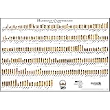 Handgun Cartridges - Bullet Poster (Cartridge Comparison)