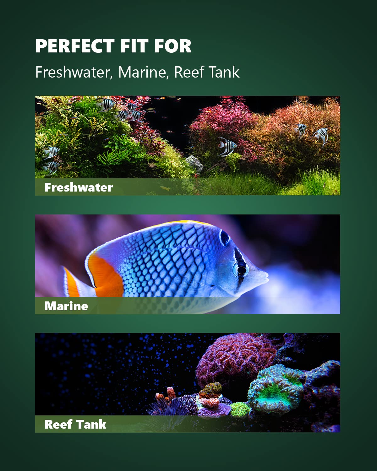 Atlantic Series WP-10000 Wave Maker for Aquarium, DC 24V 20W 2642 GPH (10000 L/H) Powerhead, Powerful yet Silent Sine Wave Controllable Wave Pump for Fresh/Saltwater/Marine/Reef Tank Black