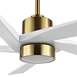 WINGBO 54 Inch DC Ceiling Fan with Lights and