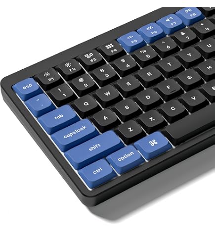Amazon.com: Keychron Low Profile LSA Dye-Sub PBT Full Set Keycap