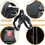 Musonic No Pull Dog Harness Breathable Adjustable XS Orange with Free Leash view 3