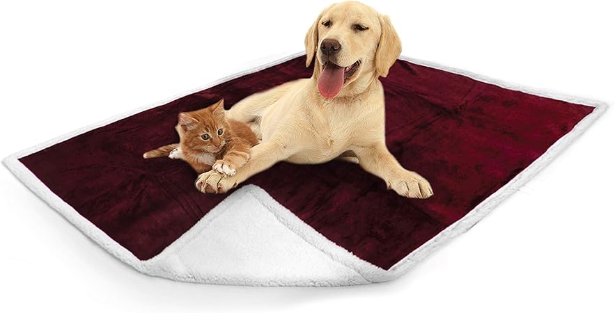 dog blanket for bed