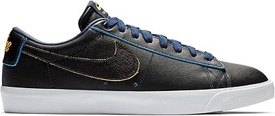 nike sb blazer zoom low gt