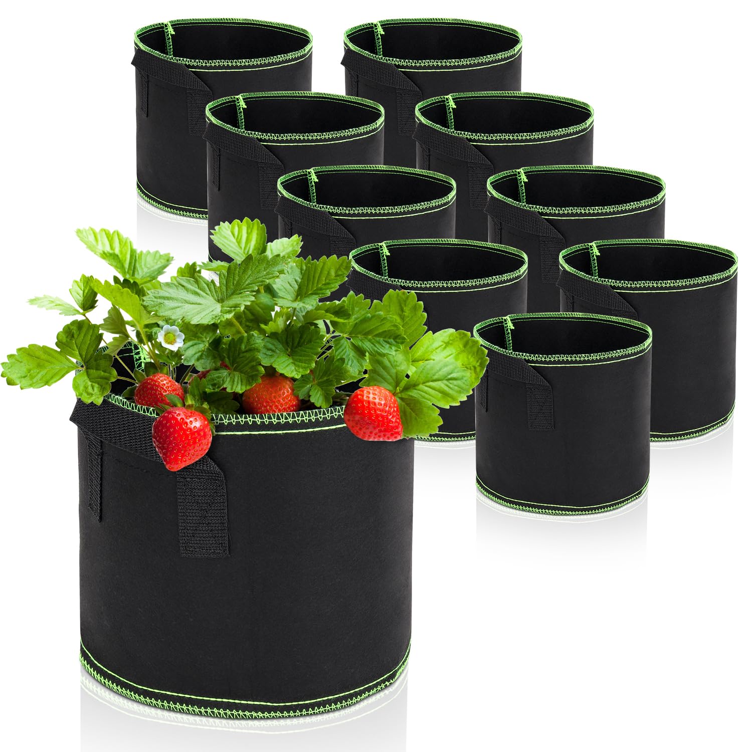 LangRay Fabric Pot, 19 L, Plant Bag with Handle, Reusable Plant Bags for Growing Potatoes, Tomatoes, Vegetables, Thickened and Ventilated Plant Pot, Black, Pack of 10, 5 Gal