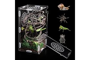 TCooSo Jumping Spider Enclosure, Acrylic Praying Mantis Habitat, 8"*4"*4" Insect Terrarium, Small Reptile Cage Accessories with Secure Lock for Arboreal Tarantula, Snails, Bug, Lizard