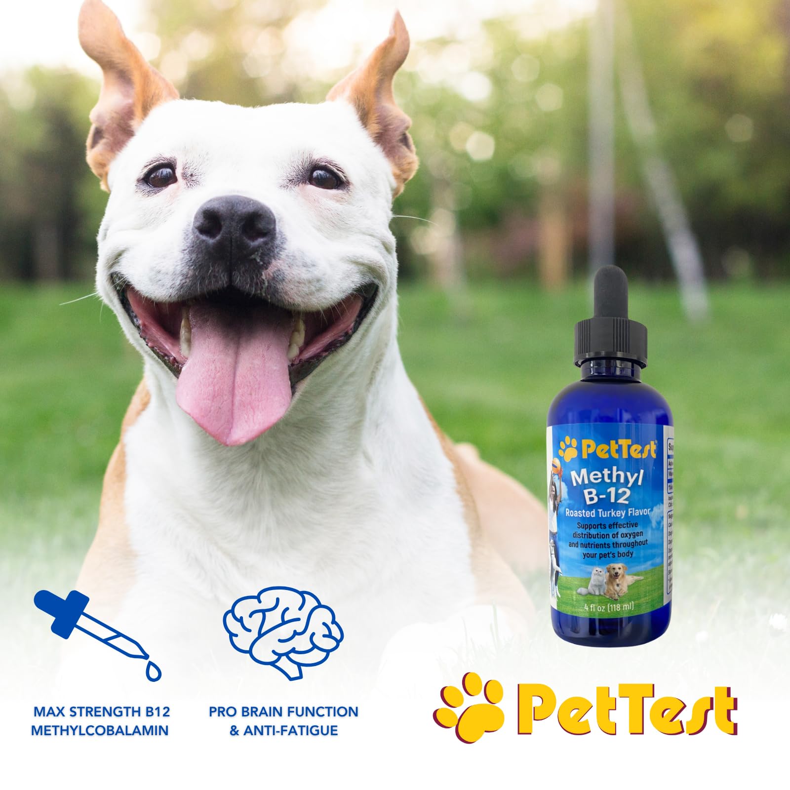 PetTest Methyl B12 Vitamin Liquid Drops 4fl oz (5000 MCG) Supplement with Methylcobalamin for Diabetic Pets, Maximum Absorption to Increase Energy for Dogs and Cats