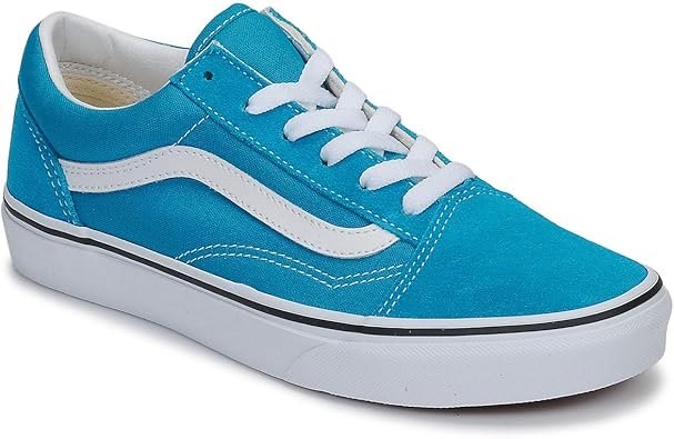 vans old skool big kid