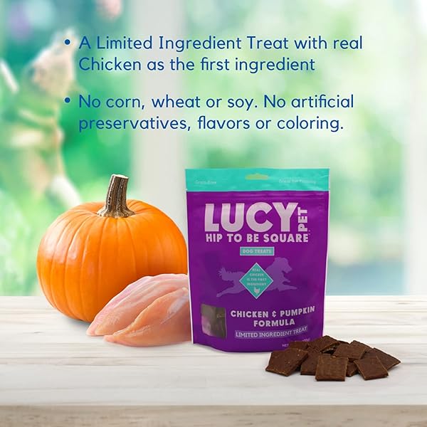 LUCY PET HIP TO BE SQUARE CHICKEN AND PUMPKIN DOG TREATS 6OZ
