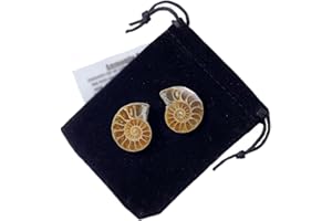 GOLDNUGGETMINER Ammonite Fossil Polished Shell Pair (Madagascar) with Velvet Gift Bag