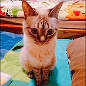 カスタマー画像