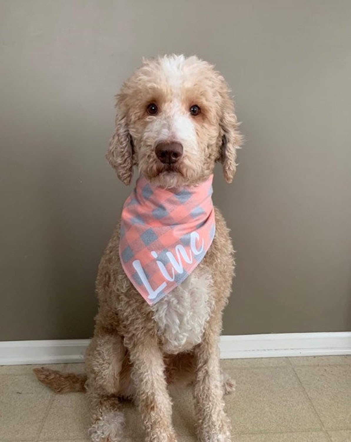 personalized dog bandanas amazon