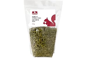 Bassé Raw Shelled Pumpkin Seeds, 1kg