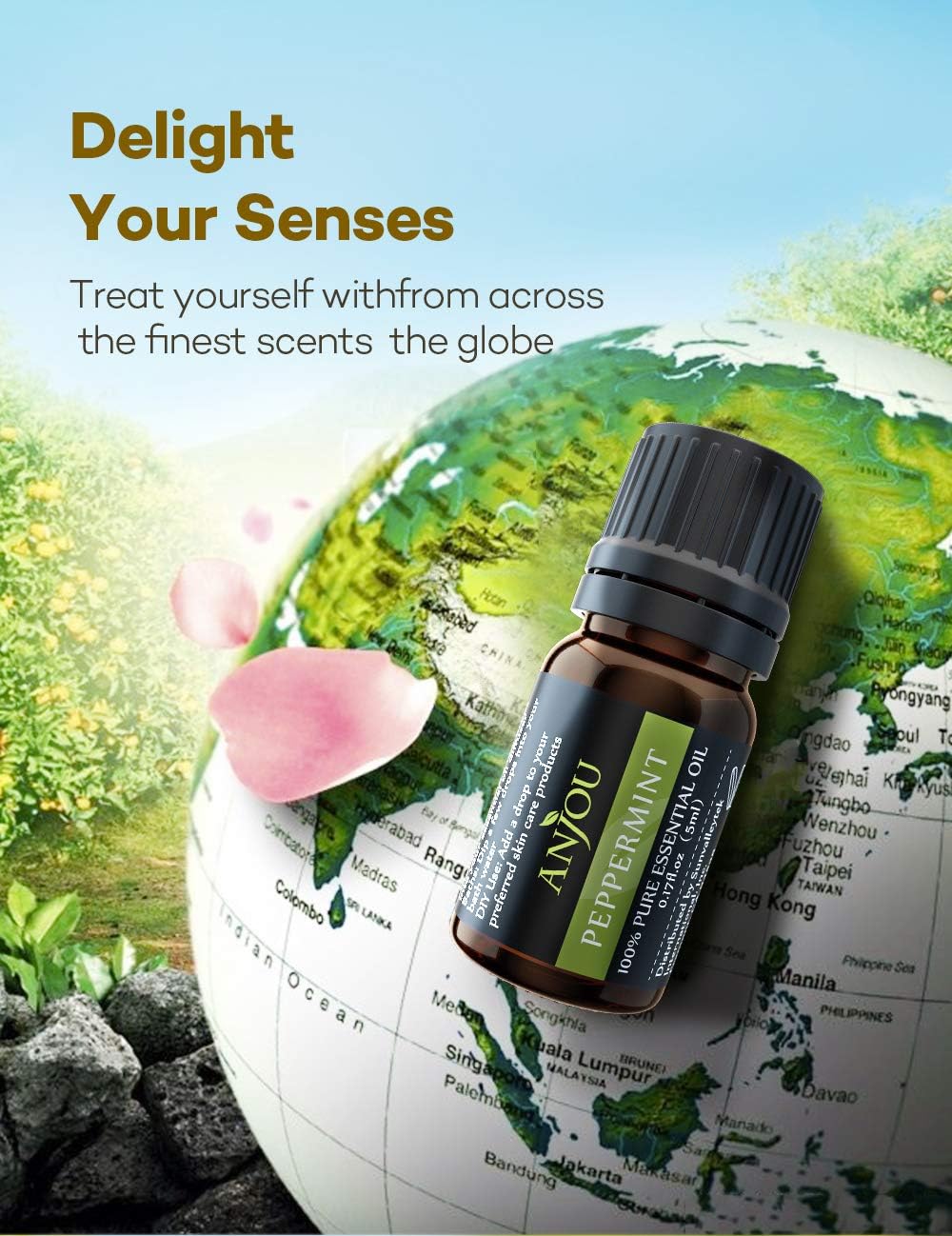 Essential Oils - Anjou Top 18 Aromatherapy Oils Premium Fragrance Oil Organic Pure for Diffuser Yoga Massage & DIY Personal Care,Foundation Set 5ml/Bottle: Health & Personal Care
