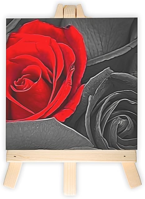 Romantische Rote Rosen Schwarz Weiss Rot Format 15x15 Cm Minileinwandbild Inkl Staffelei Kreativer Dekoartikel Amazon De Kuche Haushalt