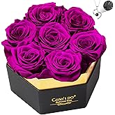 Casaido Preserved Roses Flowers for Delivery 7 Pcs, Vanlentines Day Gifts for Her, Forever Flores in Heart Box with Necklace, Anniversary Birthday Christmas Rose Gift for Women Wife Girlfriend, Purple