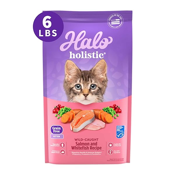 HALO HOLISTIC KITTEN FOOD, WILD CAUGHT SALMON &...