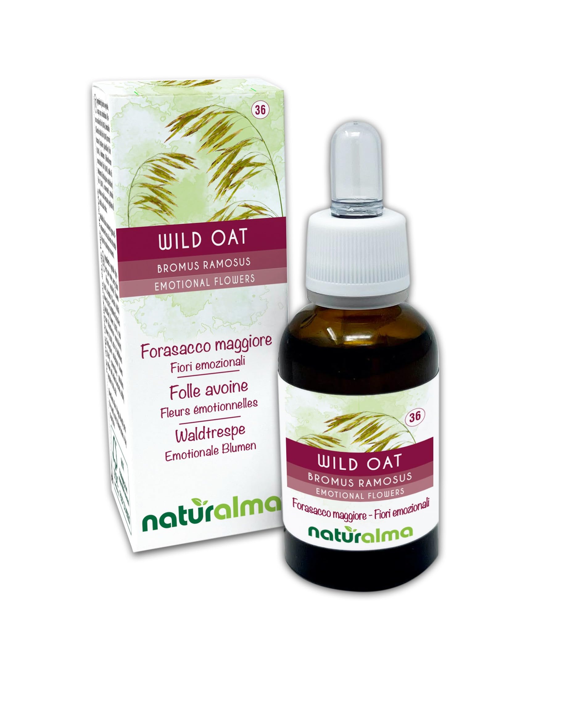 Wild Oat (Bromus ramosus) Naturalma Emotional Flowers or Bach Flowers - Drops 30 ml - Alcohol-Free Liquid Extract - Flower essences - Vegan and Without Alcohol
