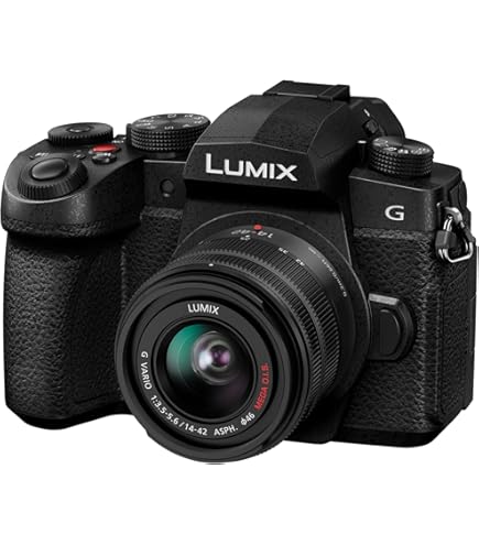 Amazon Canada: Panasonic LUMIX G95 20.3 Megapixel Mirrorless