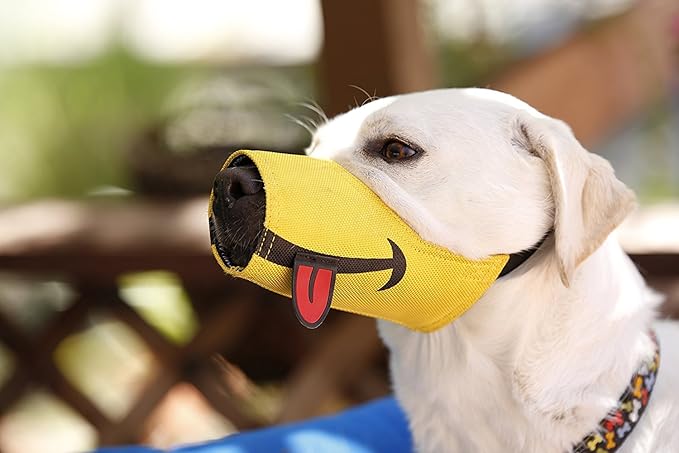 Cesar millan muzzle Outlet