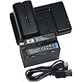 DSTE 2 Pack NP-F970 Battery + Rapid Dual Battery Charger Compatible with Sony DCM-M1 MVC-CD1000 HDR-FX1 DCR-VX2100E DSR-PD190P HXR-NX3 as NP-F930 NP-F950 NP-F960