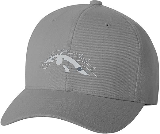 western michigan hat
