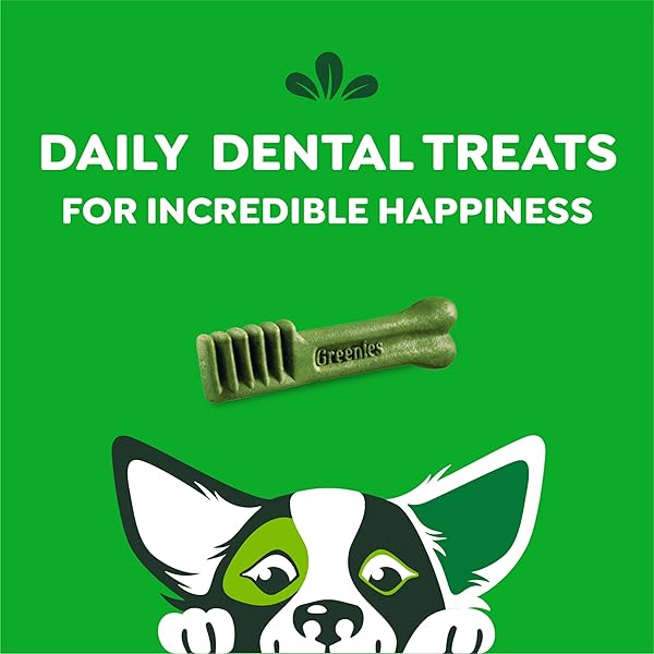 GREENIES VETERINARIAN-RECOMMENDED ADULT NATURAL DENTAL DOG TREATS PETITE SIZE, DOG DENTAL CHEWS, ORIGINAL FLAVOR, 3 OZ. PACK, 5 COUNT