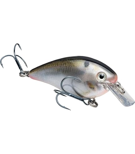 Amazon.com : Strike King Kvd1.5Sh Black Back Chartreuse (HCKVDS1