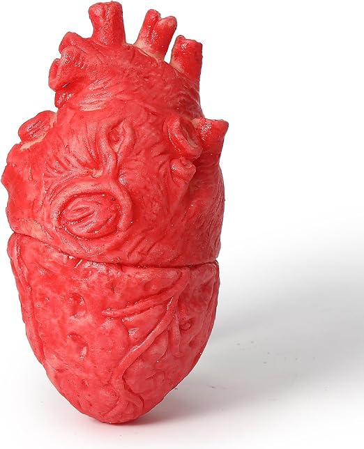 ONEDONE Fake Bloody Heart Body Organ Parts Halloween Horror