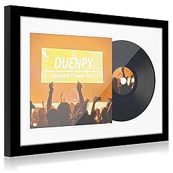 DUENPY Vinyl Record Display Frame 16x22 Inches