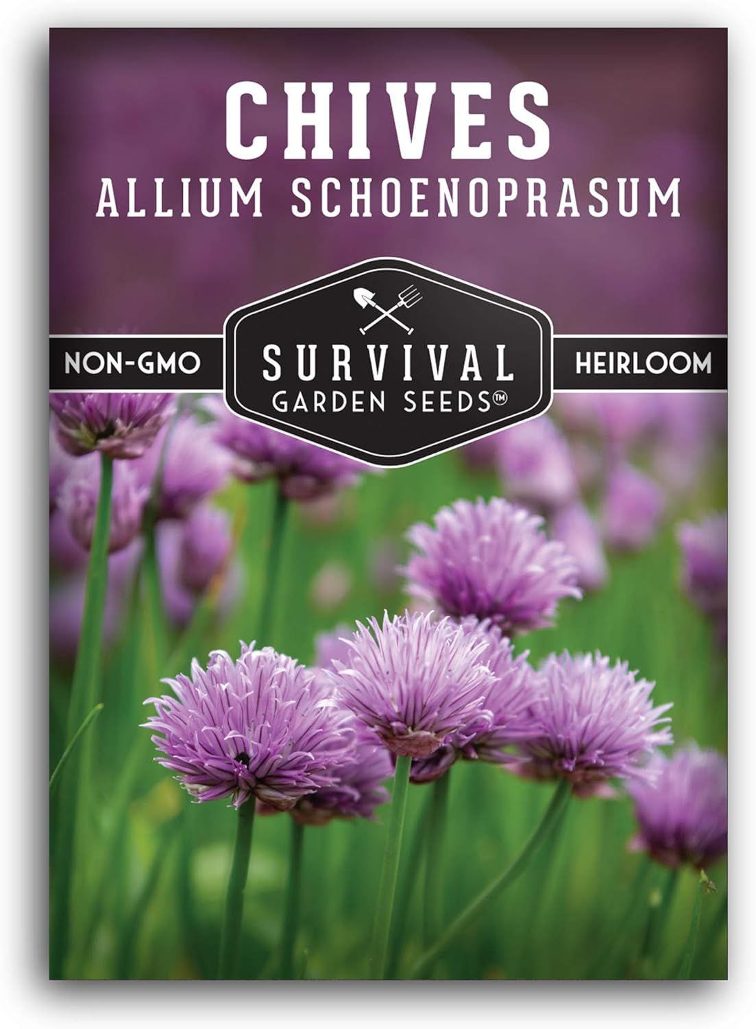 Survival Garden Seeds - Common Chives Seed for Planting - Packet with Instructions to Plant and Grow in Your Home Vegetable Garden - Non-GMO Heirloom Variety